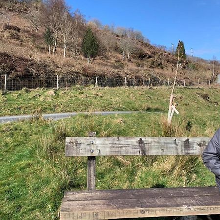 Snowdonia Rock Cottage - Cosy And Pet Friendly 펜린듀드리스 외부 사진