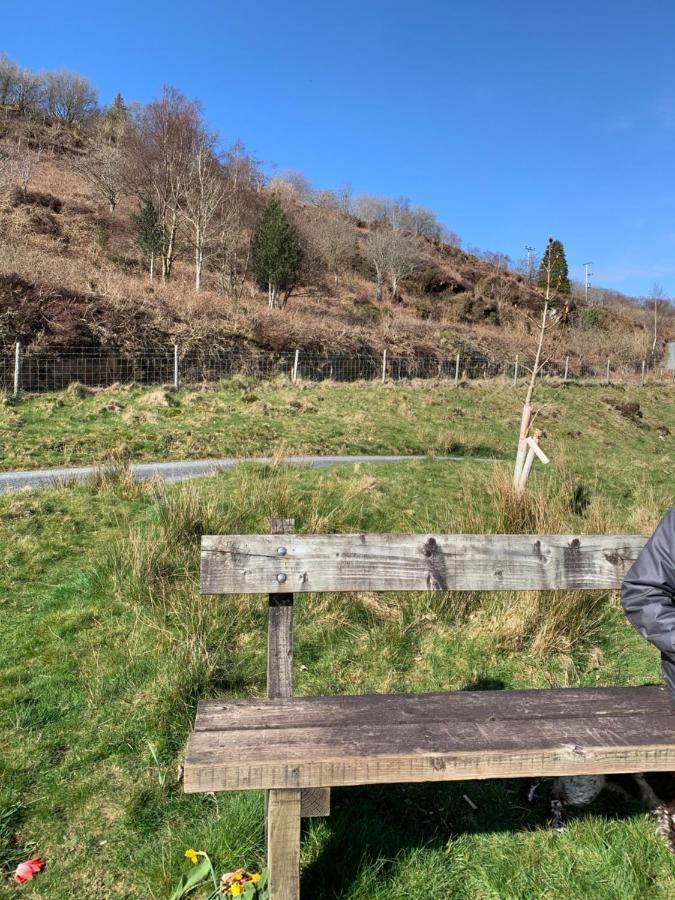 Snowdonia Rock Cottage - Cosy And Pet Friendly 펜린듀드리스 외부 사진