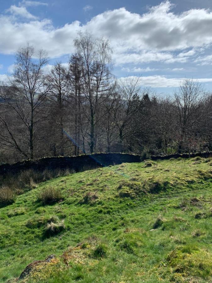 Snowdonia Rock Cottage - Cosy And Pet Friendly 펜린듀드리스 외부 사진